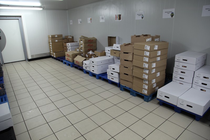 IMG 9584 (Copier)