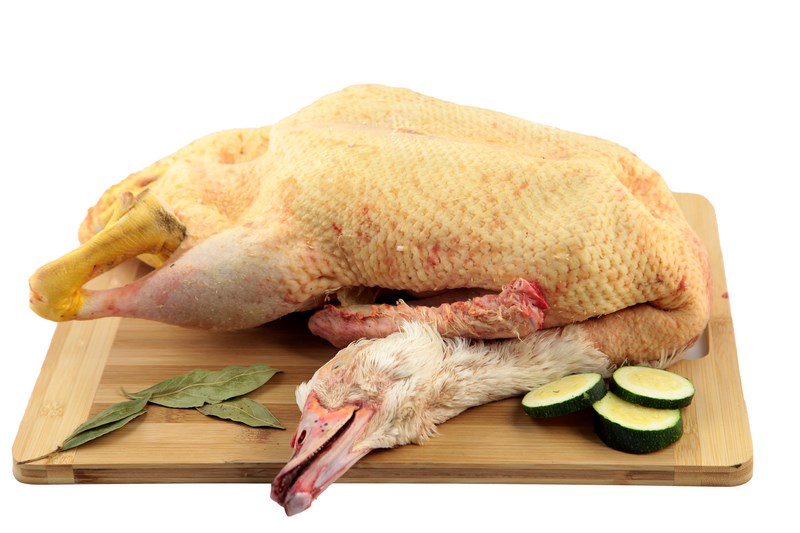 Canard effil