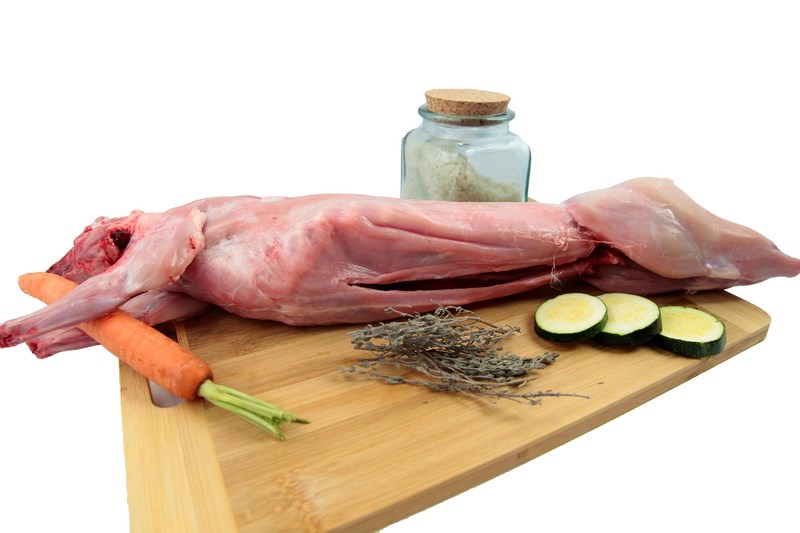 Lapin