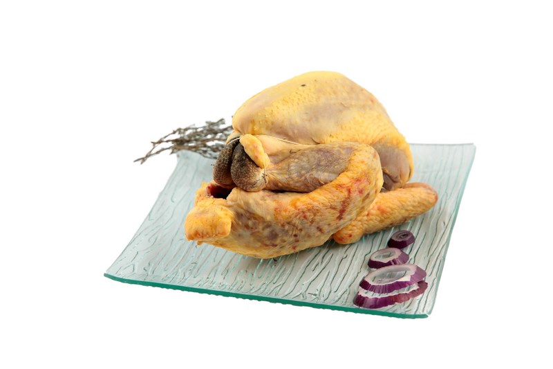 Pintade standard pac